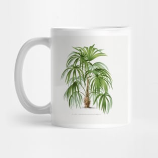 10 Les Palmiers Histoire Mug